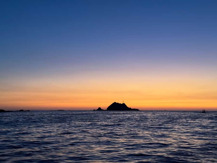 Huatulco: Sail at dawn and watch the marine life - Who Should Take This Tour?
