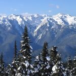 Hurricane Ridge Guided Snowshoe Tour in Olympic National Park - Possible Consideration