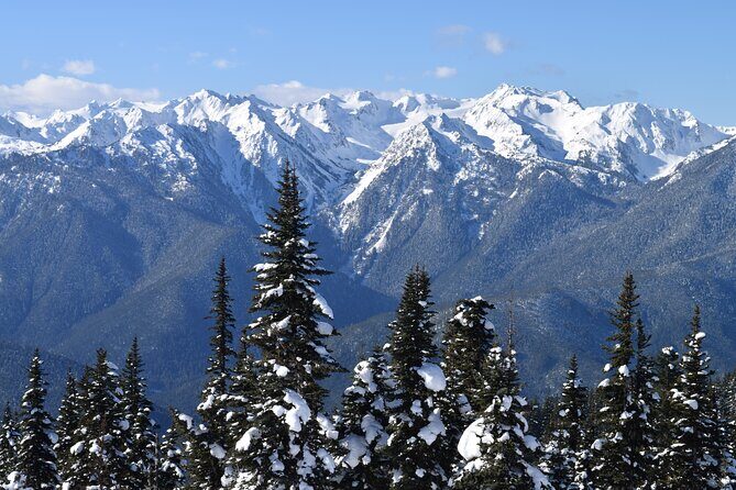 Hurricane Ridge Guided Snowshoe Tour in Olympic National Park - Possible Consideration