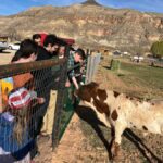 Hurricane, Utah: Guided Farm Tour with Animal Feeding - What to Expect at the Guided Farm Tour