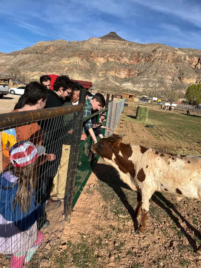 Hurricane, Utah: Guided Farm Tour with Animal Feeding - What to Expect at the Guided Farm Tour
