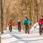 Îles-de-Boucherville: Park Entry w/ Fat-bike & Snowshoeing - Final Thoughts: Is It Worth It?