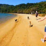 Ilha Grande Hiking Tour - The Hiking Route and Beaches