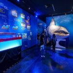 Inbursa Aquarium ticket - Who Will Love This Tour?