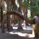 Indian Canyons Hiking Tour by Jeep from Palm Desert - Practical Details and Tips