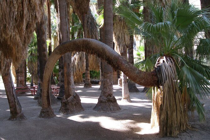 Indian Canyons Hiking Tour by Jeep from Palm Desert - Practical Details and Tips