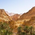 Indian Canyons Hiking Tour by Jeep from Palm Springs - What You Can Expect from the Experience