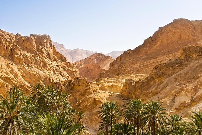 Indian Canyons Hiking Tour by Jeep from Palm Springs - What You Can Expect from the Experience