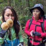 Intro to Seattle Mushroom Foraging - The Introduction: Safety and Gear