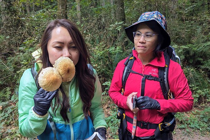 Intro to Seattle Mushroom Foraging - The Introduction: Safety and Gear