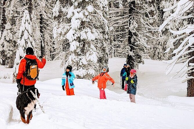 Introductory Guided Snowshoe Tour - The Experience in Context