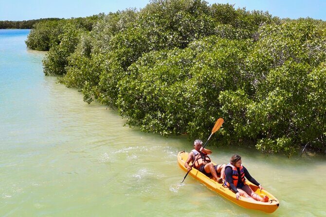 Isla Columpios and Progreso Day Trip - Detailed Review of the Isla Columpios and Progreso Day Trip