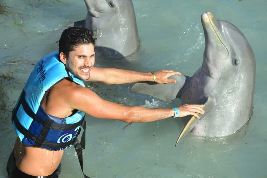Isla Mujeres: Dolphin Encounter with Garrafon Park Admission - What Travelers Say
