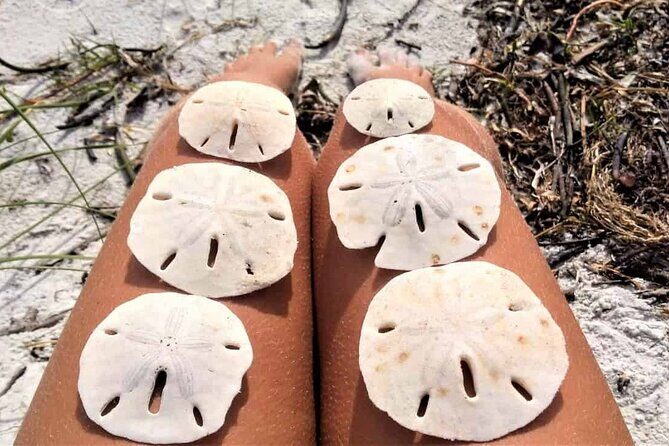 Island Hopping and Snorkeling Trip - Frequently Asked Questions