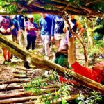 Island Survival Skills Training Adventure (4 Hours) - Details and Practicalities