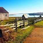 Islands Finest 5 passengers only! - Authentic Experiences and Useful Insights