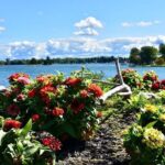 Islands, Lighthouses, and Castle Tour on the St. Lawrence River - Final Thoughts