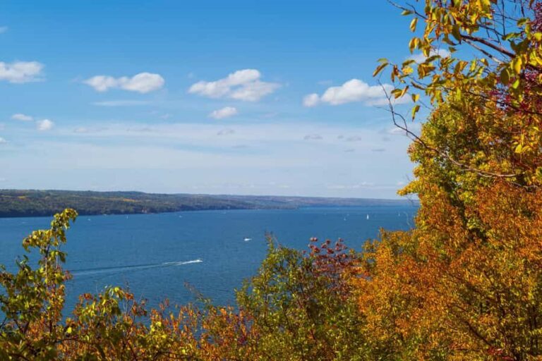 Ithaca Family Adventure Private Tour: Fun & Discovery Walk - Practical Details and What to Expect