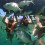 Ixtapa: Zipline and Snorkeling Adventure with Lunch - Who Will Love This Tour?