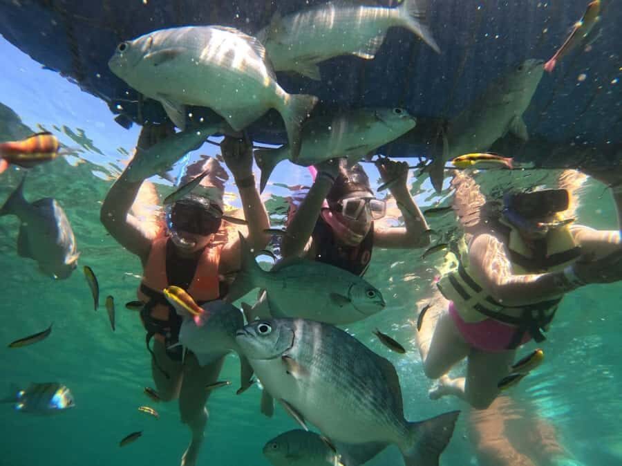 Ixtapa: Zipline and Snorkeling Adventure with Lunch - Who Will Love This Tour?