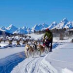Jackson Hole Dog Sledding Adventure - The Itinerary and Trail
