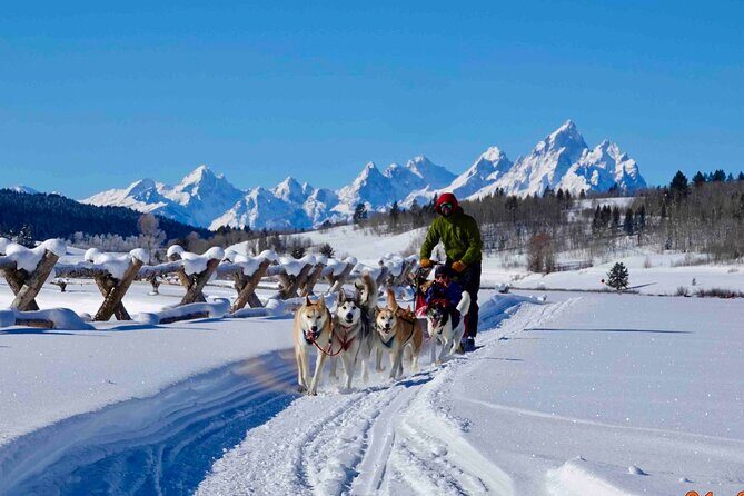 Jackson Hole Dog Sledding Adventure - The Itinerary and Trail