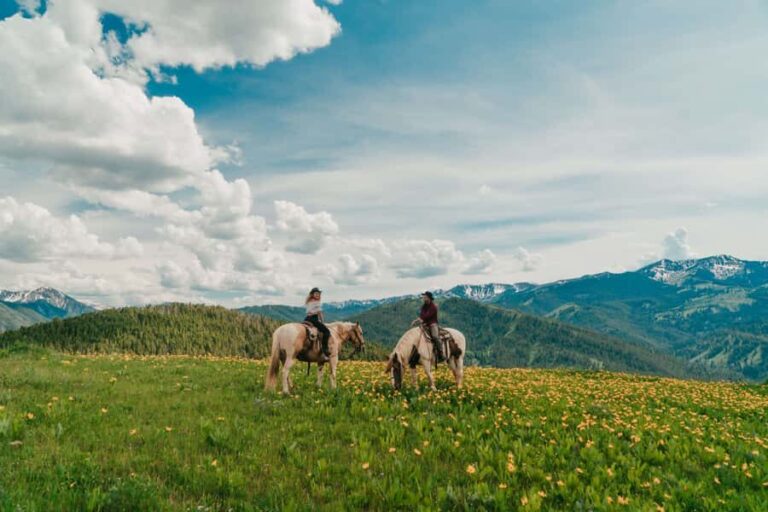Jackson Hole: Moose Meadow Horseback Tour with Breakfast - Who Should Consider This Tour?