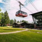 Jackson Hole Summer Aerial Tram Sightseeing - Who Will Love This Tour?