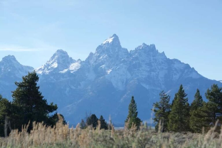 Jackson Hole: Teton Range ATV Tour with Picnic Lunch - Final Thoughts
