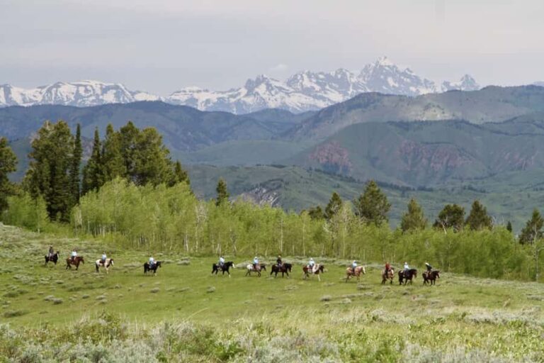 Jackson Hole: Teton View Guided Horseback Ride with Lunch - Who Should Consider This Tour?