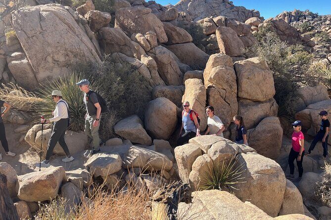 Joshua Tree National Park Sightseeing Adventure Tour - Final Thoughts