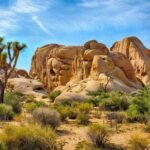 Joshua Tree National Park Trip Planner - Final Thoughts: Is This Tour Right for You?