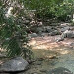 Jungle Cascade Adventure - FAQ