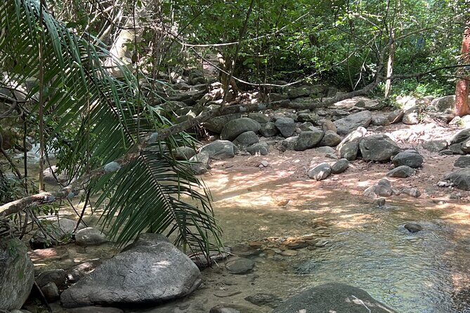 Jungle Cascade Adventure - FAQ