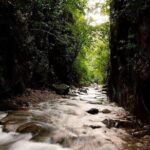 Jungle Hiking Adventure and Waterfall Swim. Nogalito Ecopark - Who Is This Tour Best For?