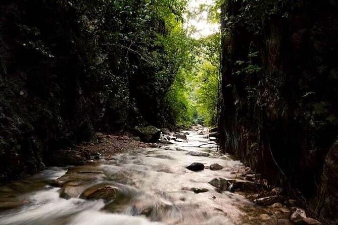 Jungle Hiking Adventure and Waterfall Swim. Nogalito Ecopark - Who Is This Tour Best For?