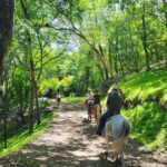 JUNGLE/ MOUTAIN AND BEACH TOUR HORSEBACK RIDING - 2h 1/2 - Why You’ll Love It