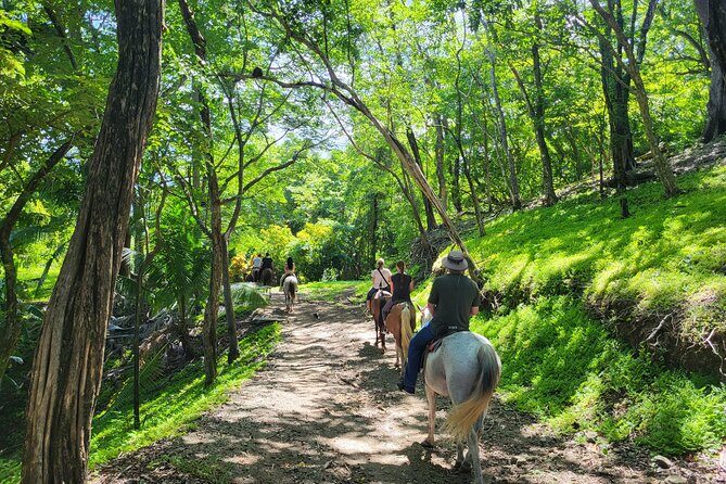 JUNGLE/ MOUTAIN AND BEACH TOUR HORSEBACK RIDING - 2h 1/2 - Why You’ll Love It