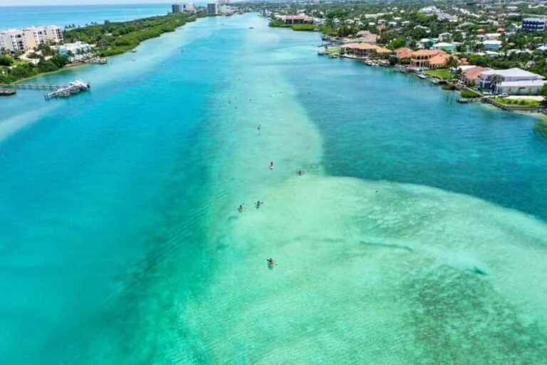 Jupiter Clear Kayak Guided Tour - The Sum Up