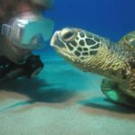 Kaanapali Lahaina: Intro Scuba Dive in Maui Strong Swimmers - A Closer Look at the Maui Scuba Experience