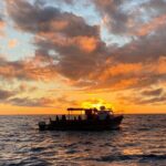 Kachemak Bay Wildlife Tour - Final Thoughts