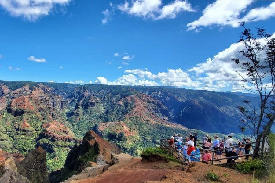 Kauai Day-Tour: Kalalau, Waimea, Poipu, Cruise or Airport PU - The Itinerary Breakdown