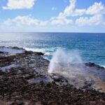 Kauai Highlights Full Day Tour from Oahu with Waikiki Pickup - The Experience: What to Expect and Consider