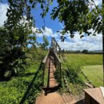 Kauai - Journey to Waimea Canyon, Spouting Horn & More - Deep Dive into the Itinerary