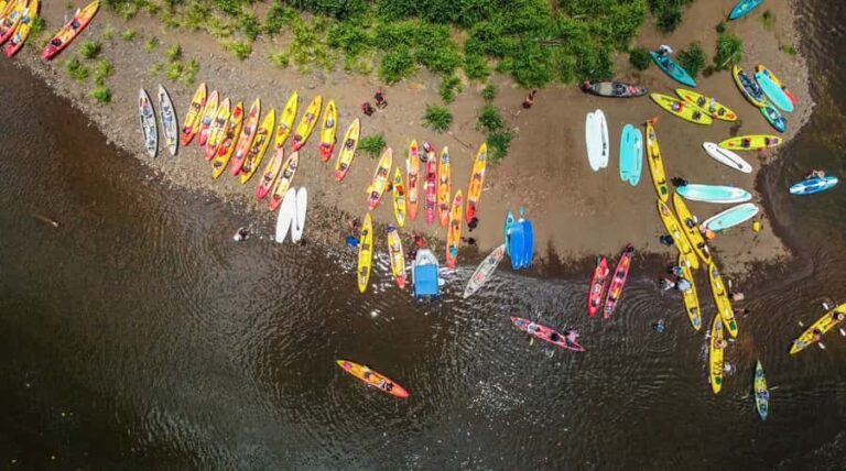 Kauai: Wailua River Kayak and Secret Falls Hike Tour - A Deep Dive into the Wailua River Kayak and Secret Falls Hike