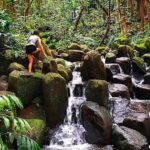 Kauai: Wailua Waterfall and River Kayak Adventure with Lunch - Price and Value