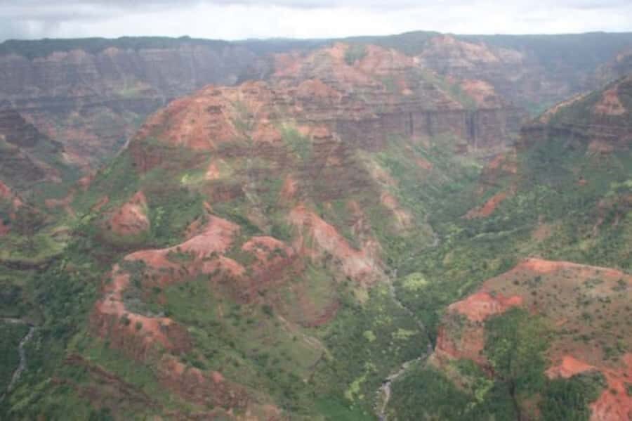 Kauai: Waimea Canyon and Waterfall Adventure Day Tour - The Value of the Tour