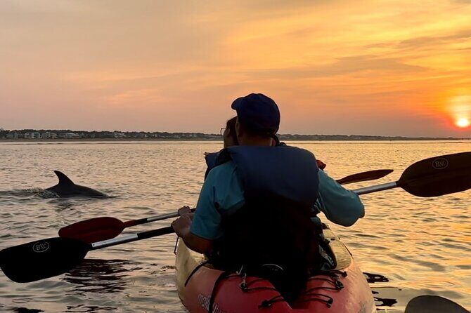Kayak Dolphin Experience in Virginia Beach Must know how to swim - FAQs: Your Practical Questions Answered