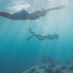 Kayak, Snorkel, and Surf with Turtles in Honolulu - Who Should Book This Tour?