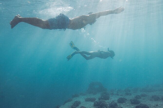 Kayak, Snorkel, and Surf with Turtles in Honolulu - Who Should Book This Tour?